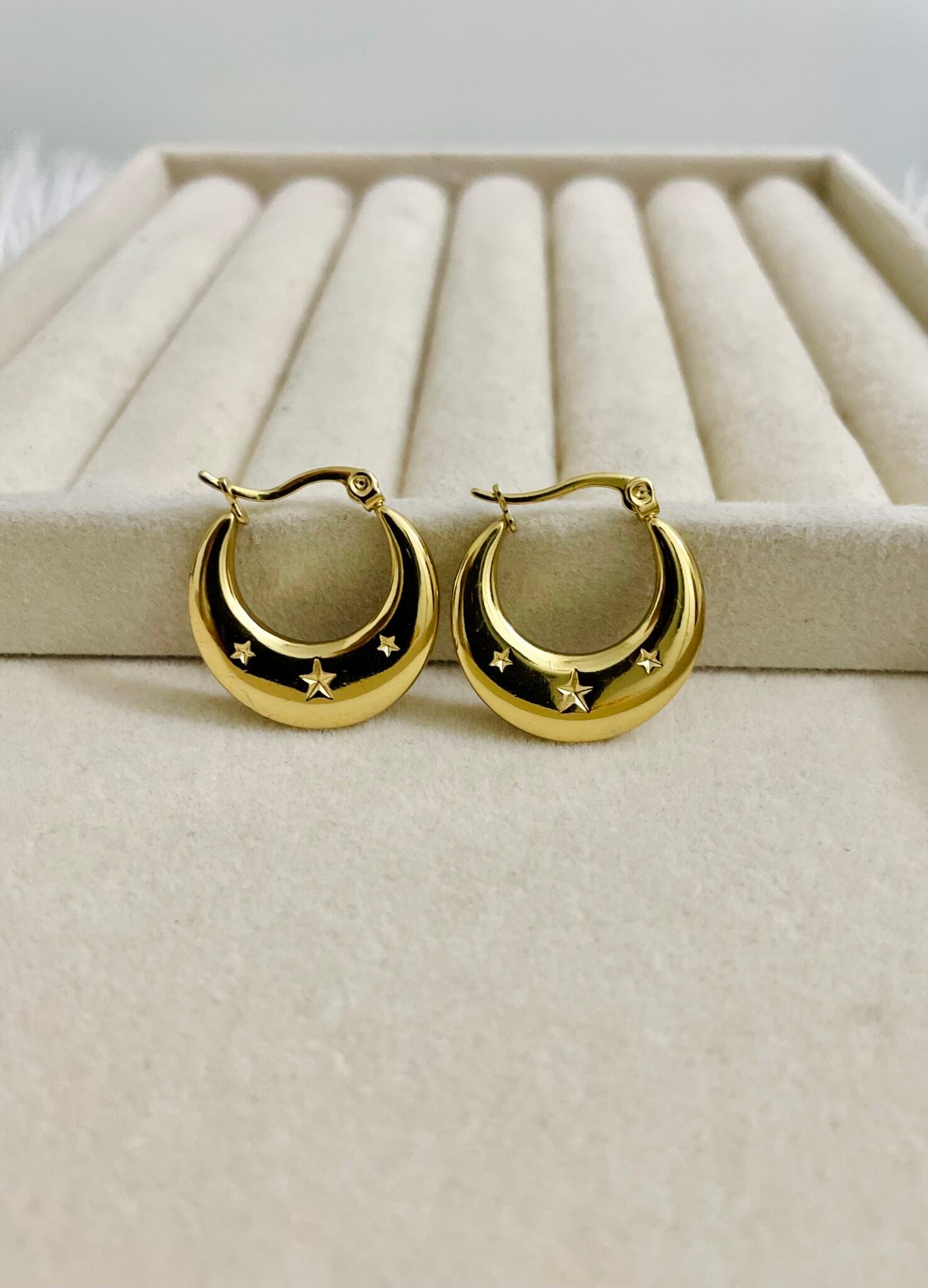 Steller Golden Earrings
