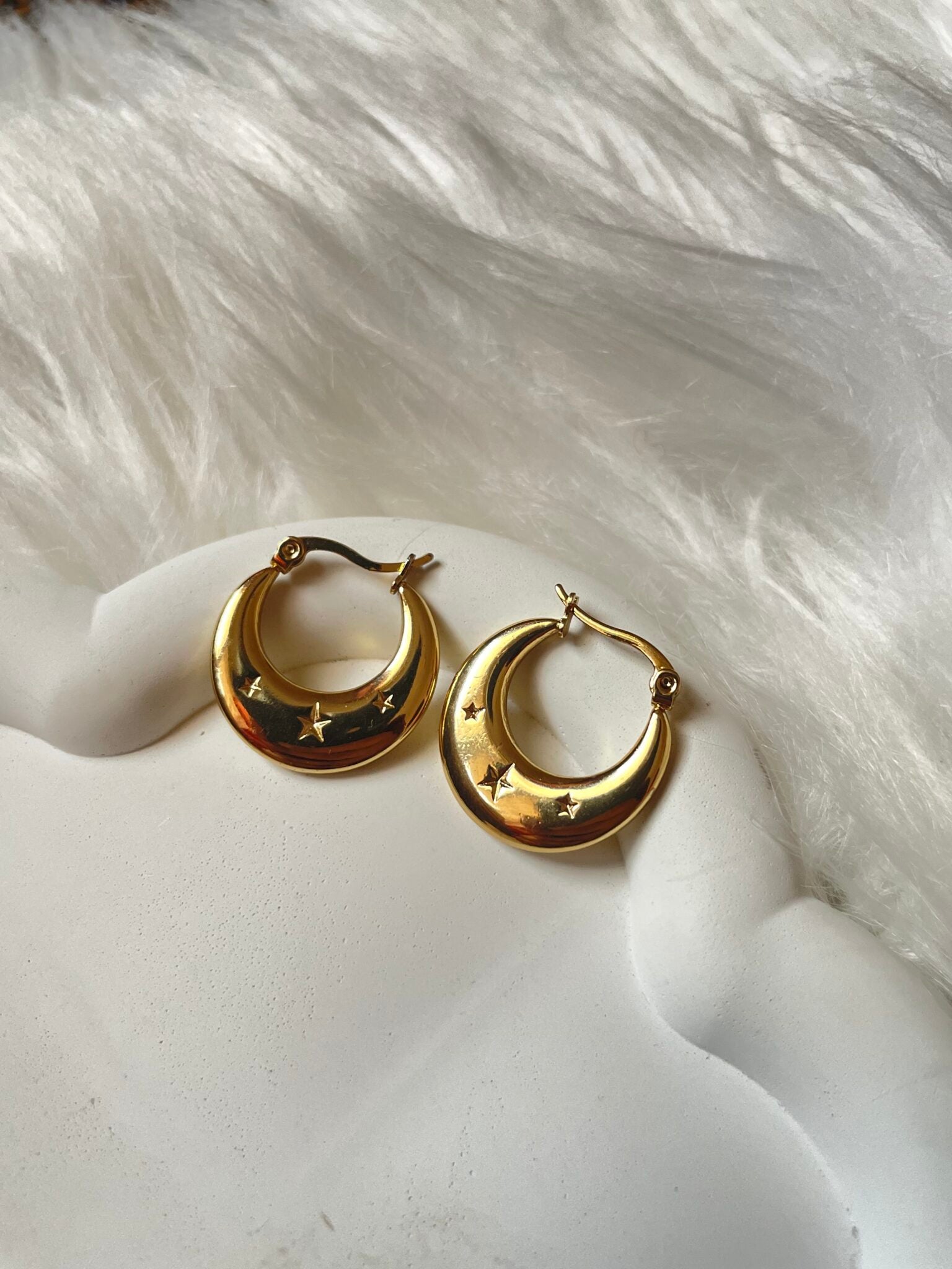Steller Golden Earrings